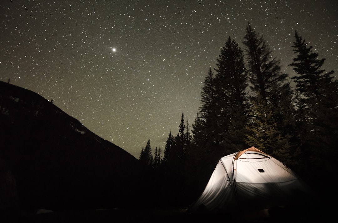 Glamping vs. Traditional Camping: Which One’s Your Adventure?